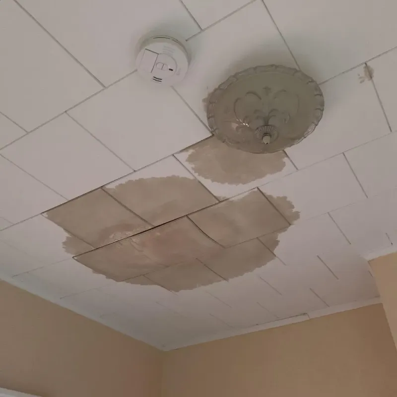 Ceiling Water Damage Repair in Gowanda, NY
