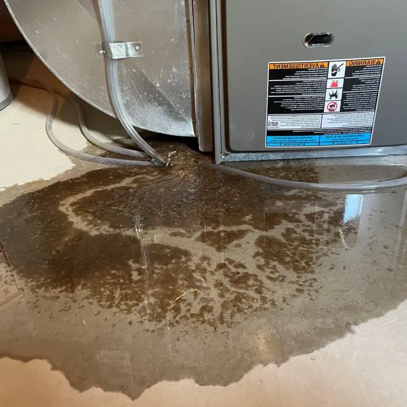 Pipe Burst and Leak Restoration in Gowanda, NY